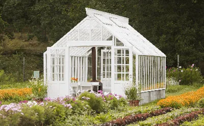 Gewächshaus - Zala Bau